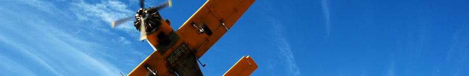 The Blog @ TJBrown.com Rotating Header Image